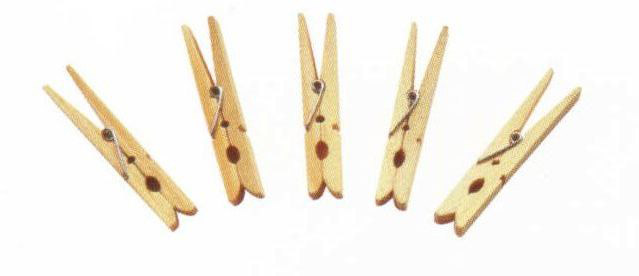 Wooden peg